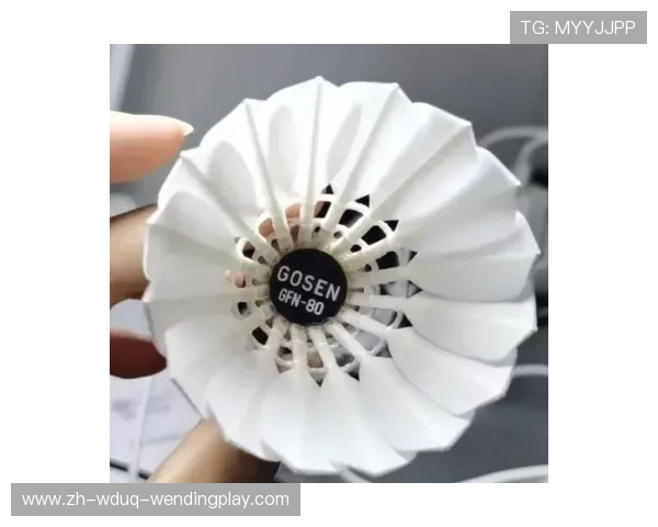 羽毛球球顶是圆形